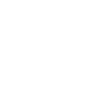 Fin International